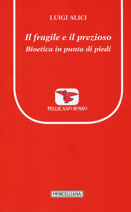 Il fragile e il prezioso. Bioetica in punta di piedi