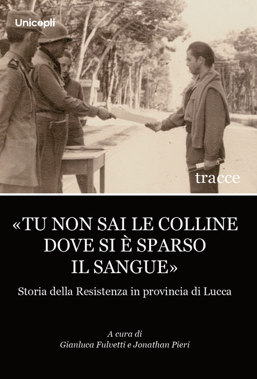 Tu non sai le colline dove si sparso il sangue. Storia della Resistenza in provincia di Lucca