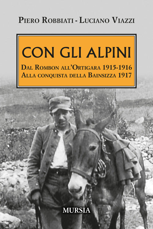 Con gli alpini. Dal Rombon allOrtigara 1915-1916. Alla conquista della Bainsizza 1917