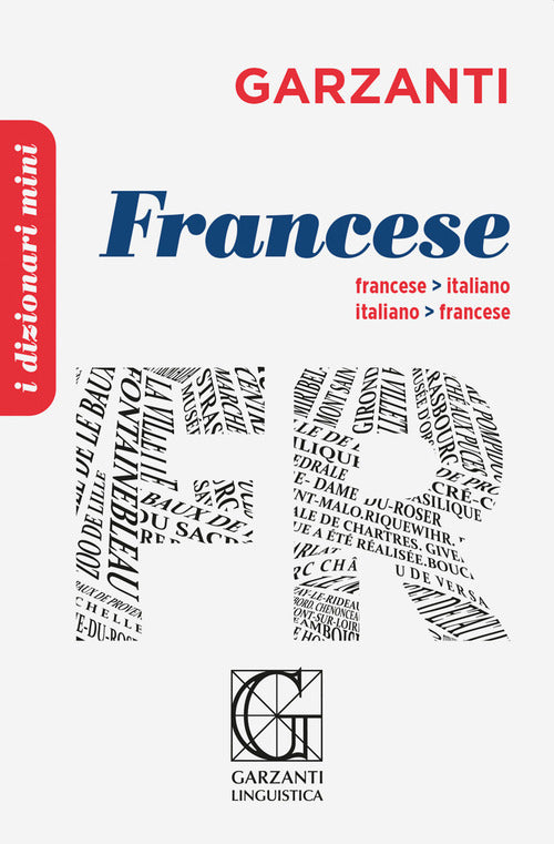 Il dizionario mini di francese
