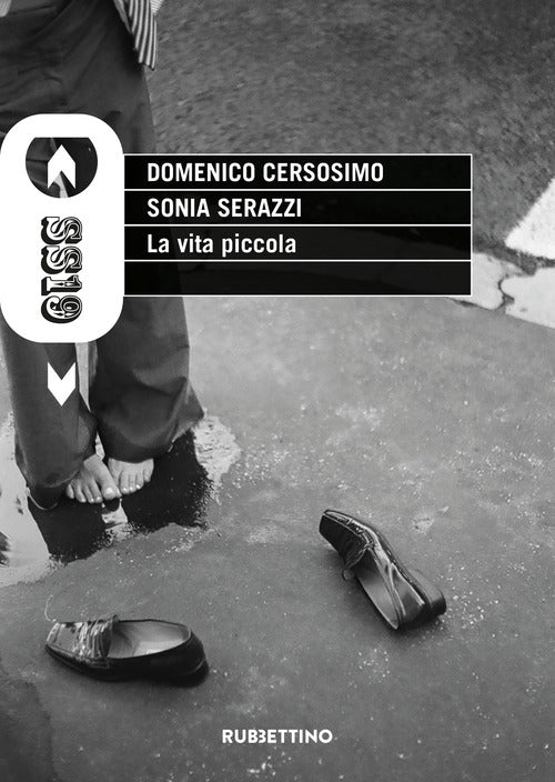 La vita piccola