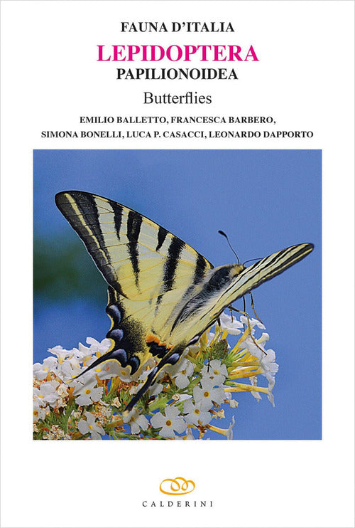 Lepidoptera Papilionoidea butterflies