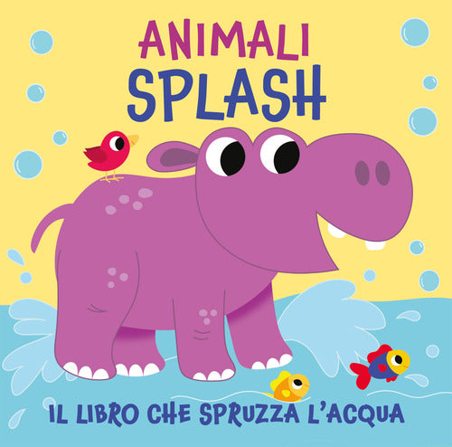 Animali splash