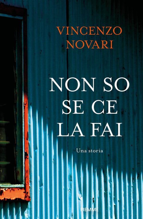 Non so se ce la fai. Una storia