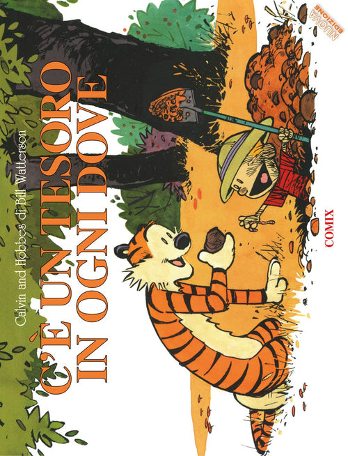 C'è un tesoro in ogni dove. Calvin & Hobbes