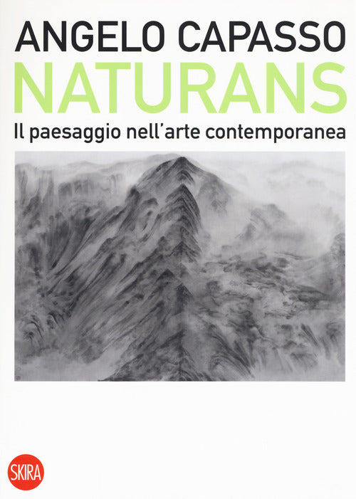 Naturans. Il paesaggio nell'arte contemporanea