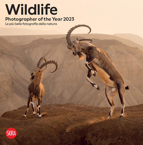 Wildlife photographer of the year 2023. Le più belle fotografie della natura