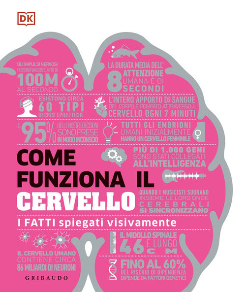 Come funziona il cervello. I fatti spiegati visivamente