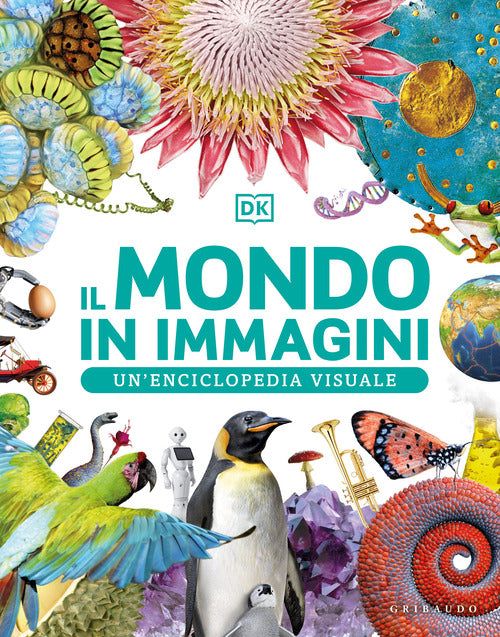 Il mondo in immagini. Un’enciclopedia visuale