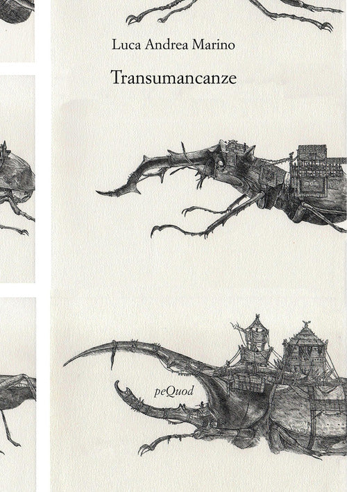 Transumancanze