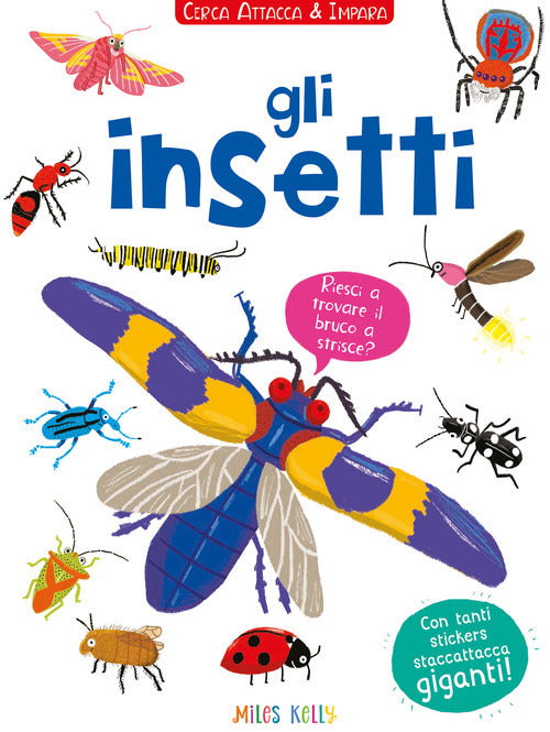 Gli insetti! Cerca attacca e impara. Con adesivi