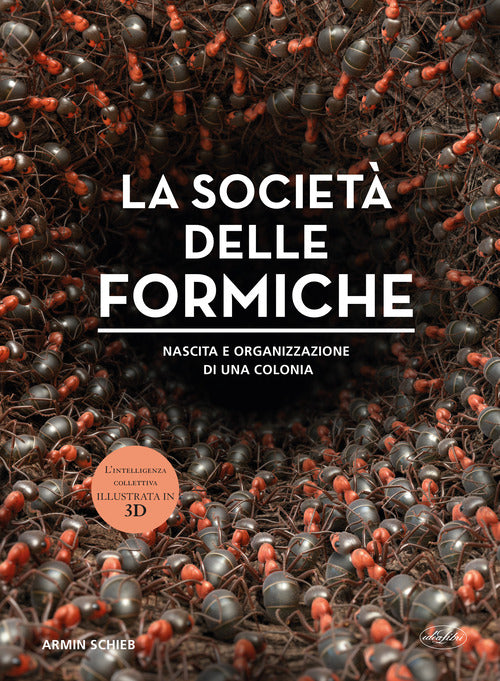 La societ delle formiche