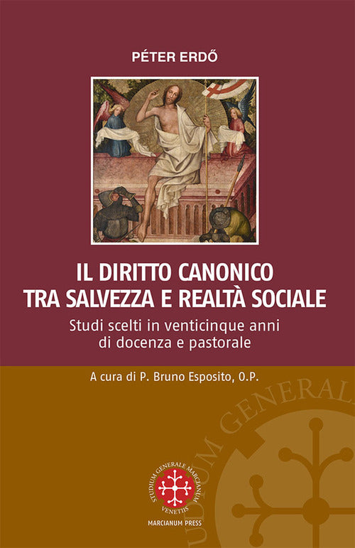 Il diritto canonico tra salvezza e realtà sociale. Studi scelti in venticinque anni di docenza e pastorale