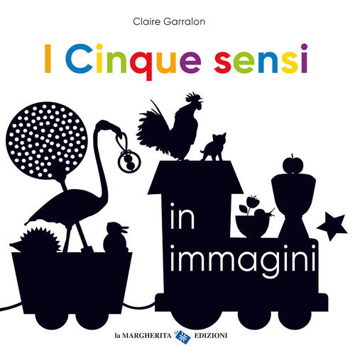 I cinque sensi in immagini