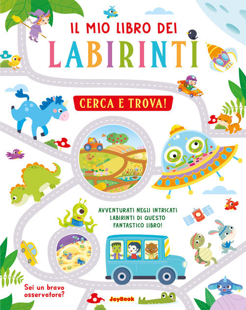 Il mio libro dei labirinti. Cerca e trova!