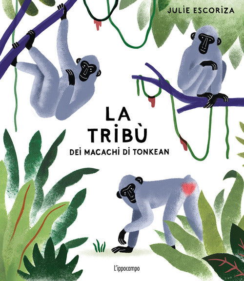 La tribù dei macachi di Tonkean