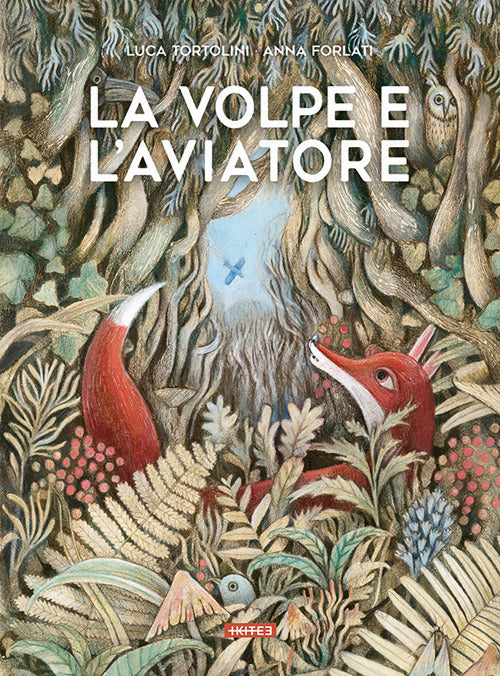 La volpe e l'aviatore