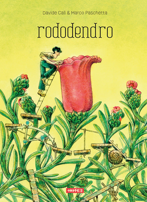 Rododendro