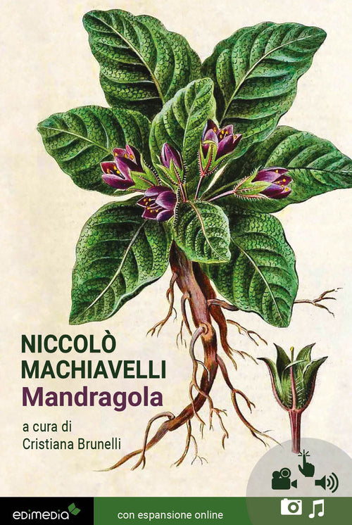 Mandragola