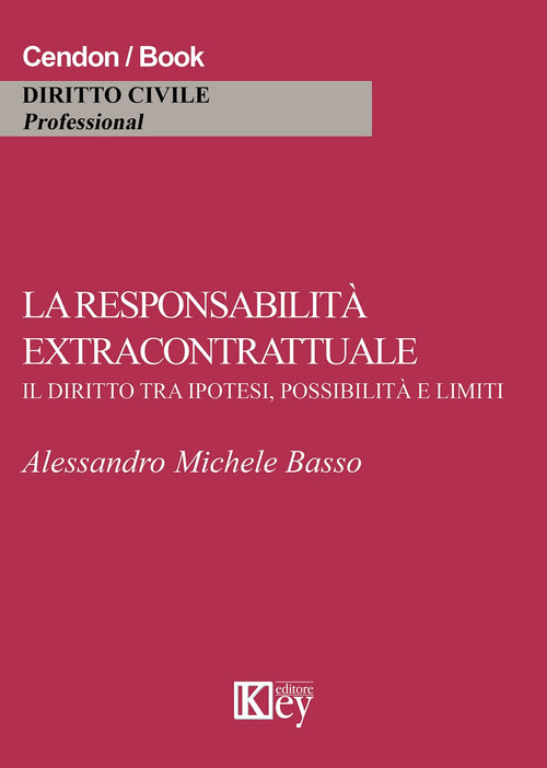 La responsabilità extracontrattuale. Il diritto tra ipotesi, possibilità e limiti