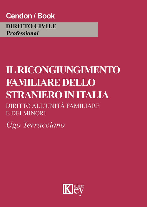 Il ricongiungimento familiare dello straniero in Italia. Diritto all'unità familiare e dei minori