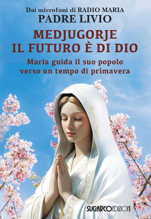 Medjugorje: il futuro di Dio