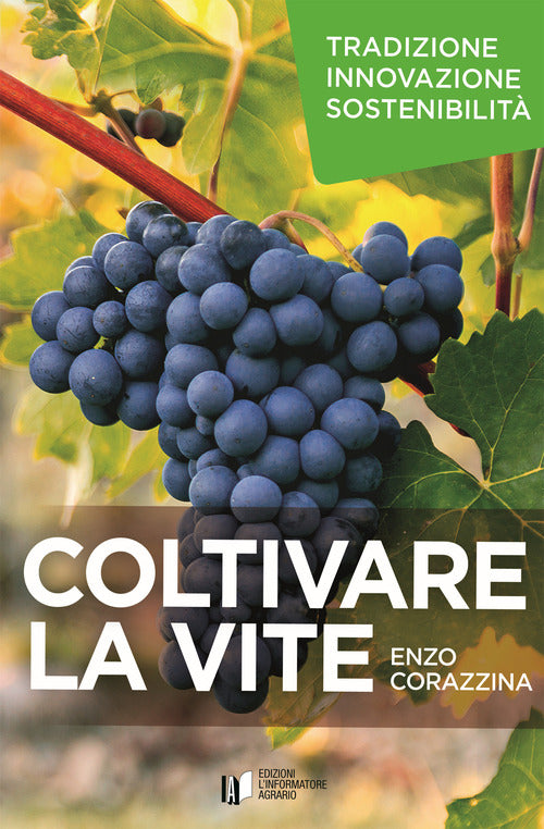 Coltivare la vite. Tradizione, innovazione, sostenibilità