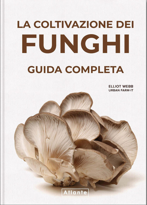 La coltivazione dei funghi