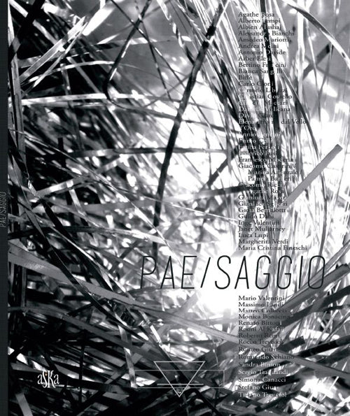 Pae/saggi