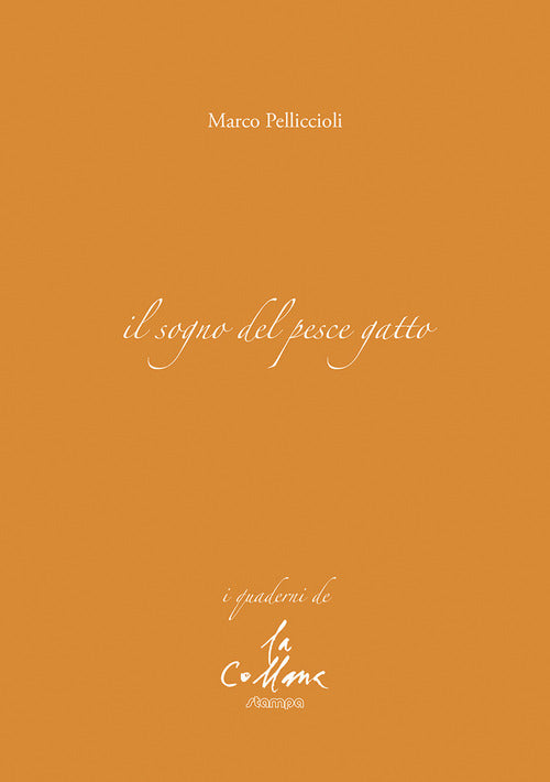 Il sogno del pesce gatto
