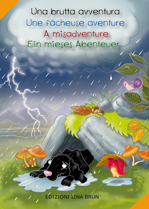 Cover of brutta avventura-Une fâcheuse aventure-A misadventure-Ein mieses abenteuer