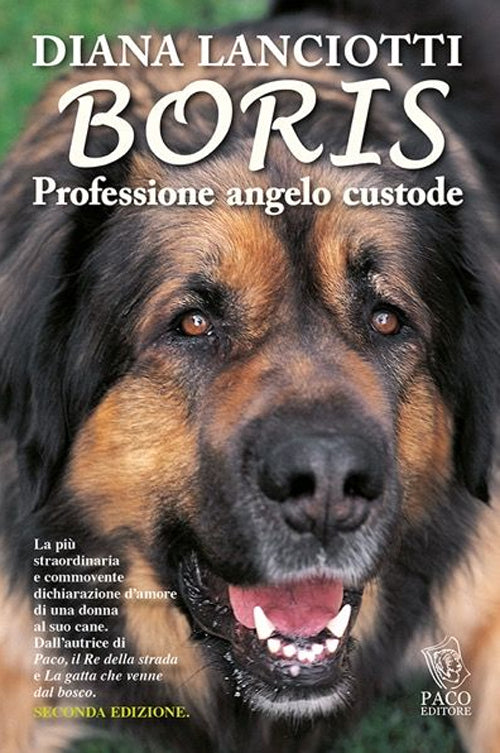 Cover of Boris. Professione angelo custode