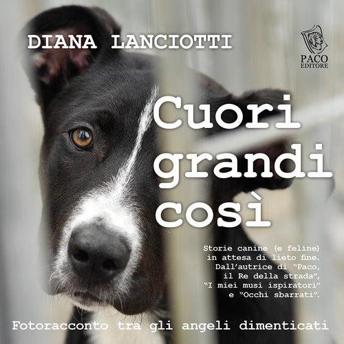 Cover of Cuori grandi così. Fotoracconto tra gli angeli dimenticati