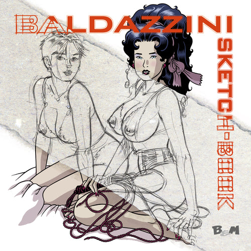 Cover of Baldazzini sketch-book