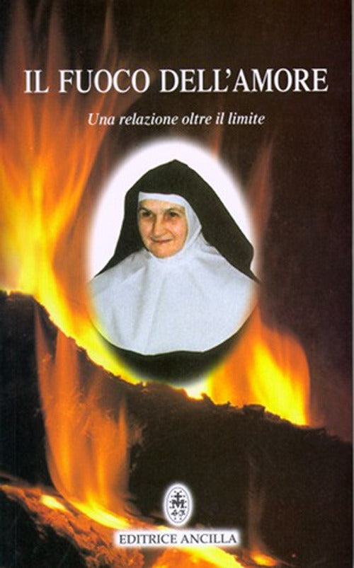 Cover of fuoco dell'amore. Una relazione oltre il limite