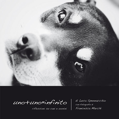 Cover of Uno+uno= infinito. Riflessioni su cani e uomini