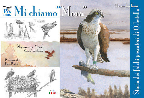Mi chiamo «Mora». Storia dei falchi pescatori di Orbetello