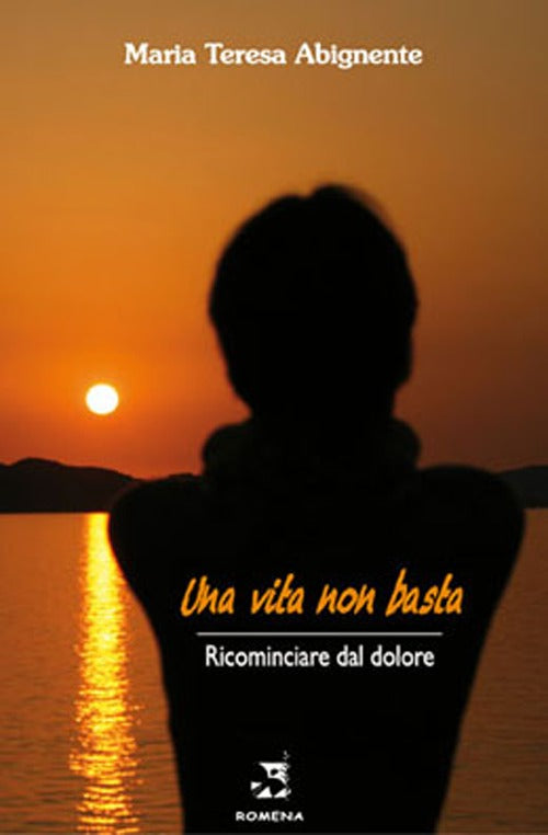 Cover of vita non basta. Ricominciare dal dolore