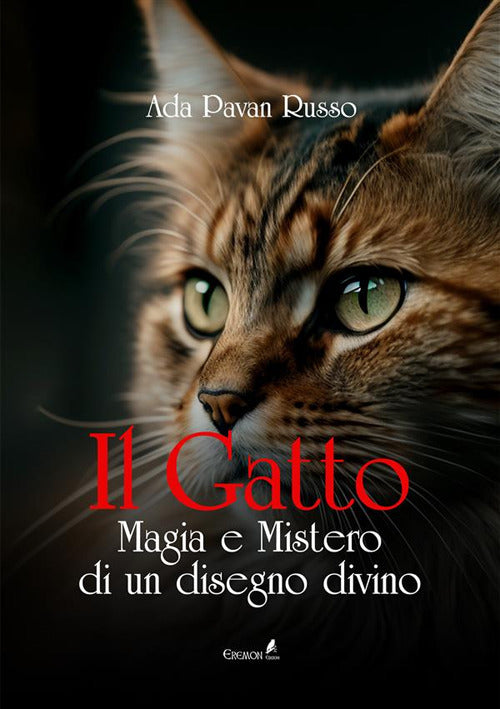 Cover of gatto. Magia e mistero di un disegno divino
