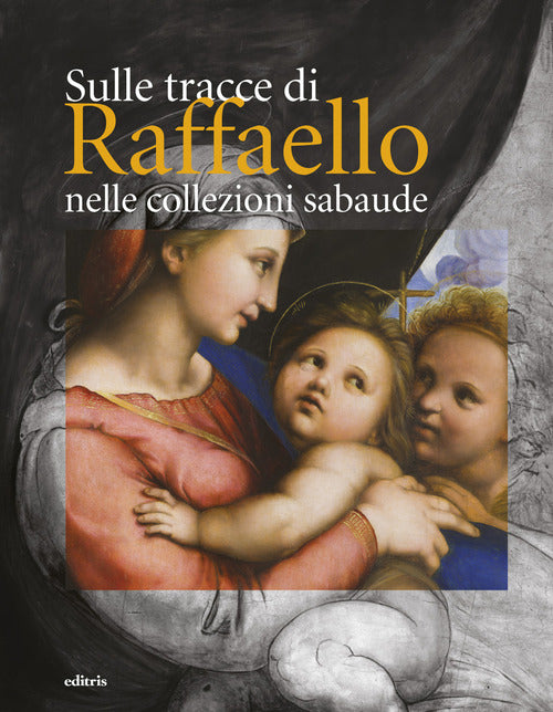 Cover of Sulle tracce di Raffaello nelle collezioni sabaude