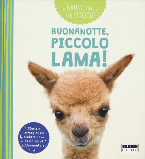 Cover of Buonanotte, piccolo lama! A nanna con il tuo cucciolo