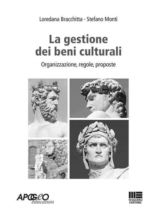 Cover of gestione amministrativa dei beni culturali