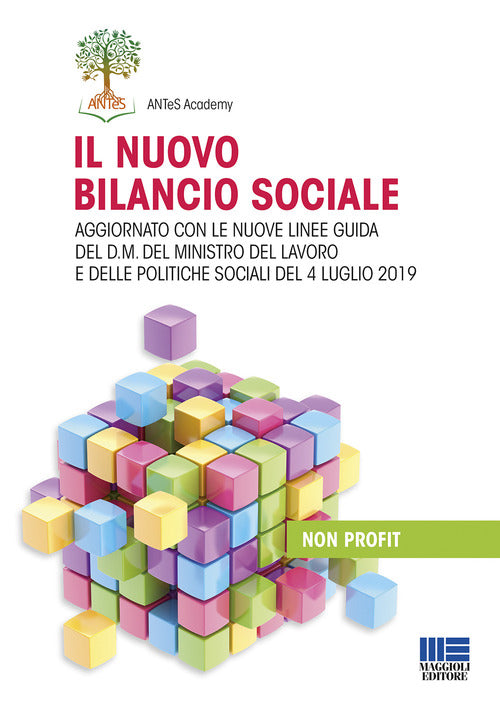 Cover of nuovo bilancio sociale. Aggiornato con le nuove linee guida del d.m. del ministro del lavoro e delle politiche sociali del 4 luglio 2019