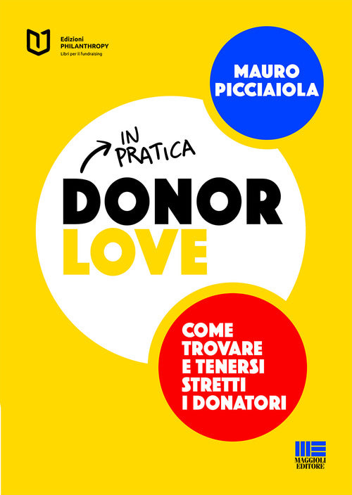 Cover of Donor love in pratica. Come trovare e tenersi stretti i donatori