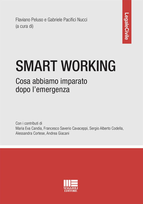 Cover of Smart working. Cosa abbiamo imparato dopo l’emergenza
