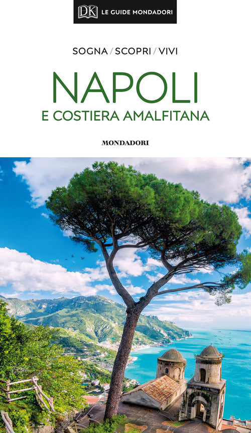 Cover of Napoli e costiera amalfitana
