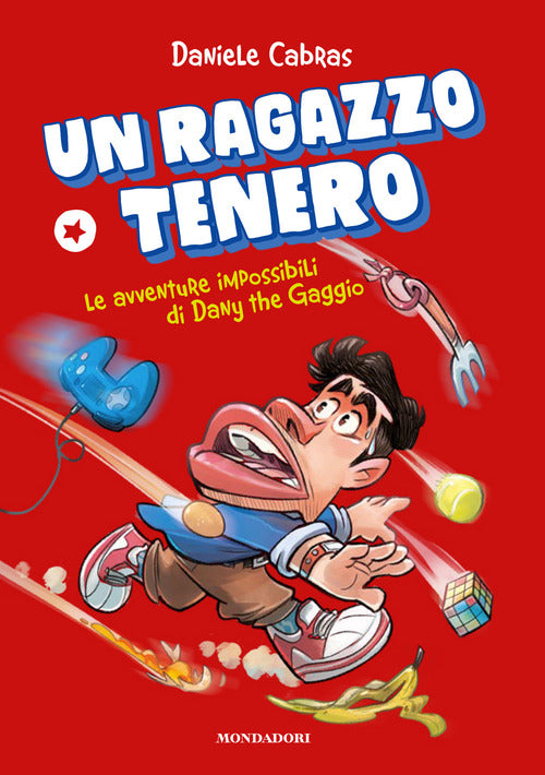 Cover of ragazzo tenero. Le avventure impossibili di Dany the Gaggio