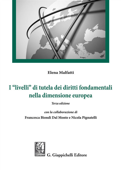 Cover of «livelli» di tutela dei diritti fondamentali nella dimensione europea