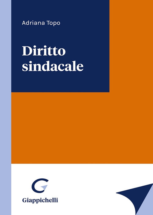 Cover of Diritto sindacale