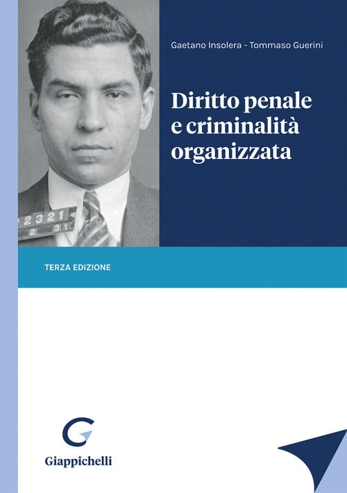 Cover of Diritto penale e criminalità organizzata